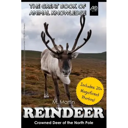 Reindeer: Crowned Deer of the North Pole