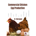 Commercial Chicken Egg Production