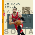 The Story of the Chicago Bulls
