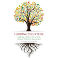 Looking to Nature: Exploring a Modern Way of Being Spiritual Without the Supernatural