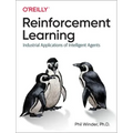 Reinforcement Learning: Industrial Applications of Intelligent Agents