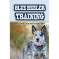 Blue Heeler Training: What You Need To Know About Training Blue Heeler: Blue Heeler Training Commands