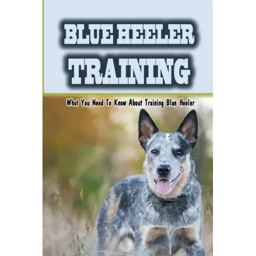 Blue Heeler Training: What You Need To Know About Training Blue Heeler: Blue Heeler Training Commands