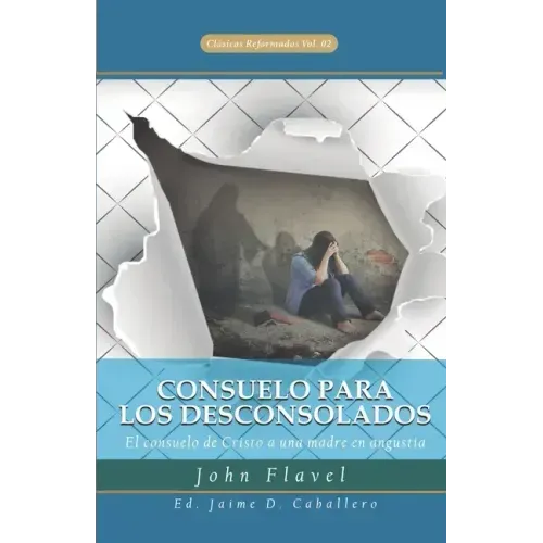 Consuelo para los Desconsolados: El consuelo de Cristo a una madre en angustia