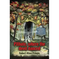 Pithole: Where the Devil Danced