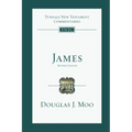 James: An Introduction and Commentary