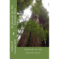 Redwoods are my favorite trees