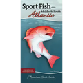 Sport Fish of the Middle & South Atlantic: Including Delaware, Georgia, Maryland, North Carolina, South Carolina, and Virginia