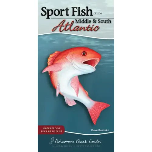 Sport Fish of the Middle & South Atlantic: Including Delaware, Georgia, Maryland, North Carolina, South Carolina, and Virginia