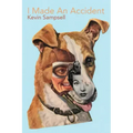 I Made an Accident