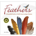 Feathers: A Beautiful Look at a Bird's Most Unique Feature