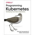 Programming Kubernetes: Developing Cloud-Native Applications