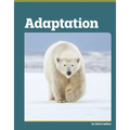 Adaptation