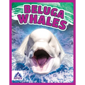 Beluga Whales