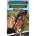 The Horses of Saddlers Ranch: Brownie