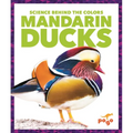 Mandarin Ducks