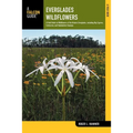 Everglades Wildflowers