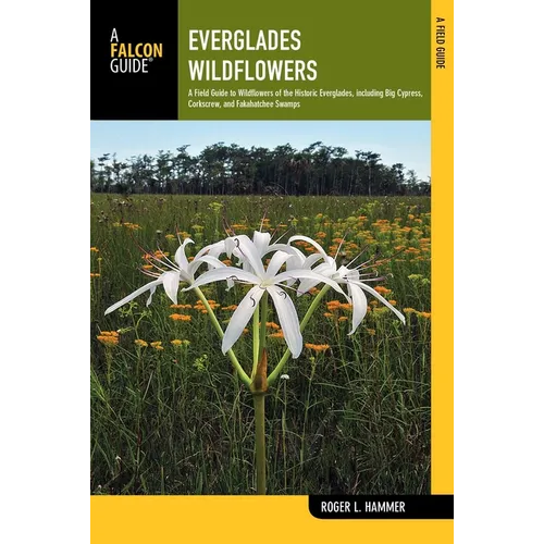 Everglades Wildflowers