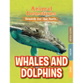 Whales & Dolphins