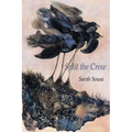 Split the Crow