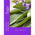 Sage - Salvia spp.
