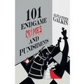 101 Endgame Crimes and Punishments