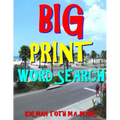 Big Print Word Search: 133 Entertaining Themed Puzzles