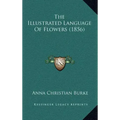 The Illustrated Language of Flowers (1856)