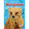 Mongooses