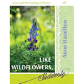 Like Wildflowers, Suddenly: Jesus and the Healing of History 01