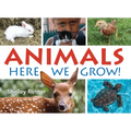 Animals!: Here We Grow