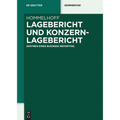 Lagebericht und Konzernlagebericht