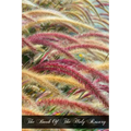 The Book Of The Holy Rosary: A Popular Doctrinal Exposition Of Its Fifteen Mysteries Mainly Conveyed In Select Extracts From The Fathers And Doctor