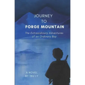 Journey to Forge Mountain: The Extraordinary Adventures of an Ordinary Boy