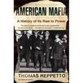 American Mafia: A History of Its Rise to Power
