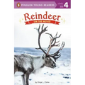 Reindeer: On the Move!