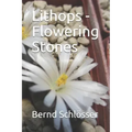 Lithops - Flowering Stones