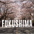 Fukushima: Return to