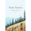 Non Finito