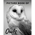 Picture Book of Owls: The Picture Book for Alzheimer's Patients and Seniors with Dementia.