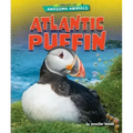 Atlantic Puffin