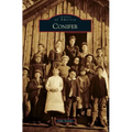 Conifer