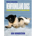 Those Amazing Newfoundland Dogs