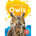 Owls
