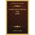 A Little Girl in Old New York (1896)