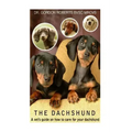 The Dachshund: A vet's guide on how to care for your Dachshund