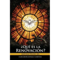 Qué es la Renovación