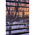 Catastrophizing in Catastrophe: Poems