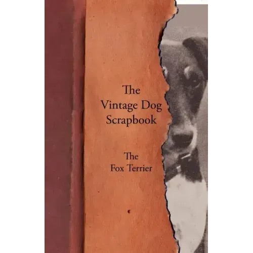 The Vintage Dog Scrapbook - The Fox Terrier