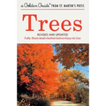 Trees: Revised and Updated